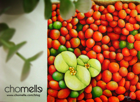 cherry tomatoes and flower