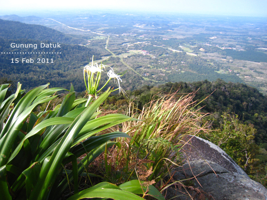 gunung datuk